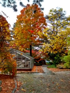 IMG 20151028 141044798 HDR
