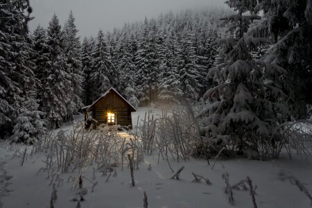 Nature cottage rural photo