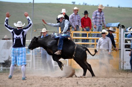 Bungendore Rodeo 2015
