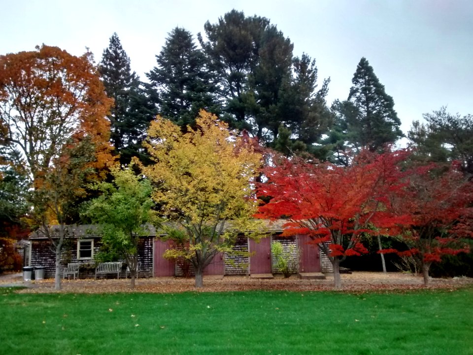 IMG 20151028 140746406 HDR
