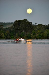 Rowers under the moon