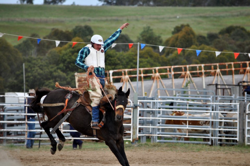 Bungendore Rodeo 2015