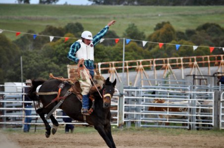 Bungendore Rodeo 2015