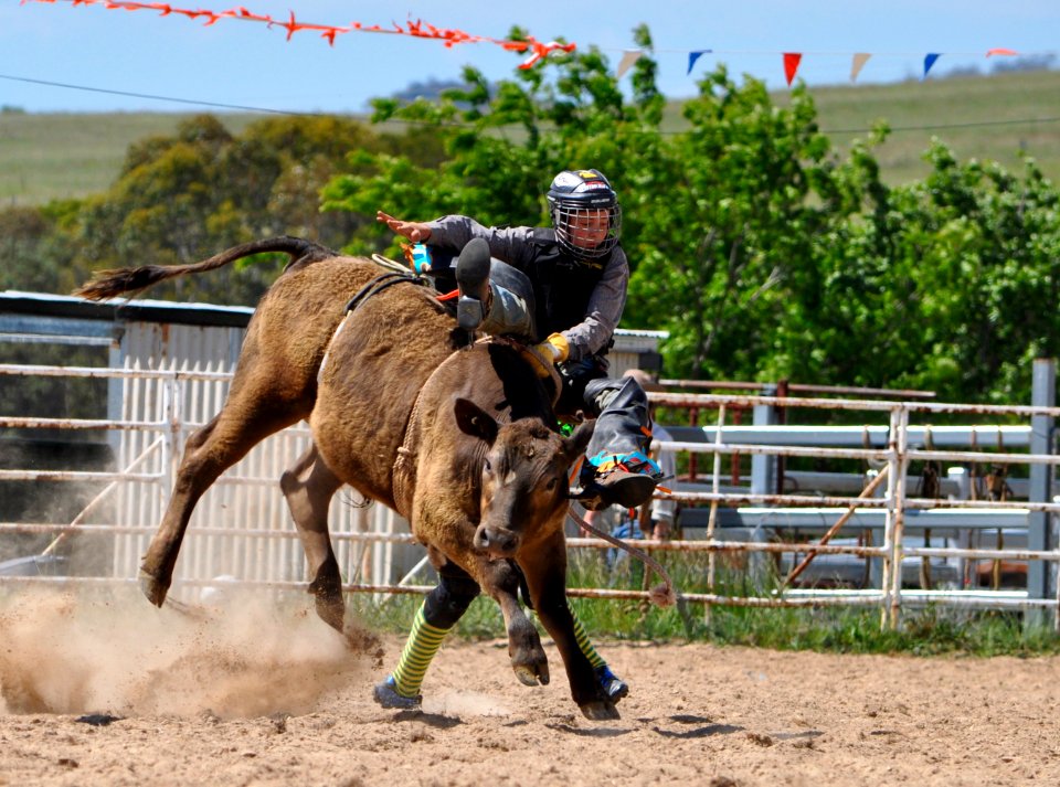 Bungendore Rodeo 2015