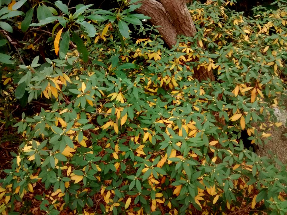 IMG 20151028 120706984