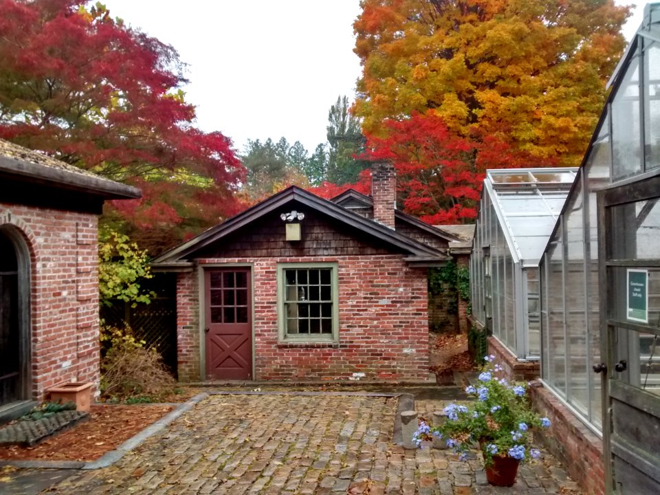 IMG 20151028 141552979 HDR