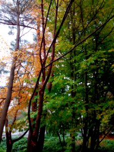 IMG 20151028 144145265