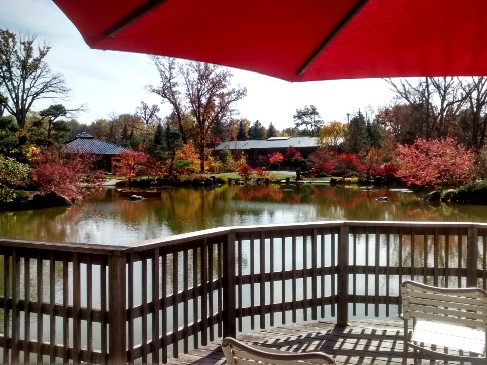 IMG 20151026 121959168 HDR