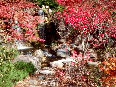 IMG 20151026 121700853 HDR