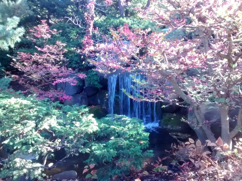 IMG 20151026 095541585