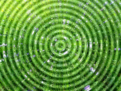 Green circles surges fantasy