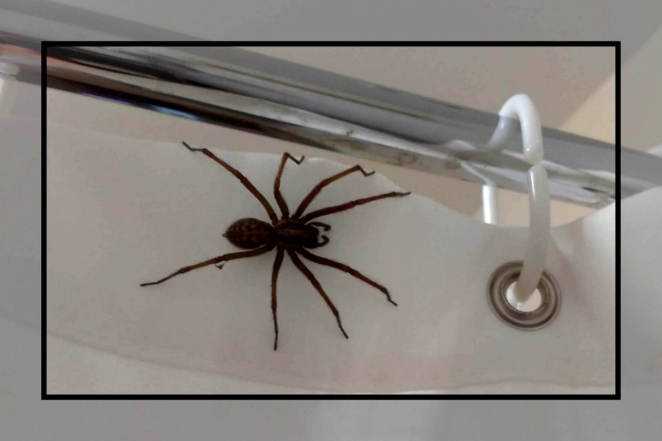 Save Water - Shower With A Friend!