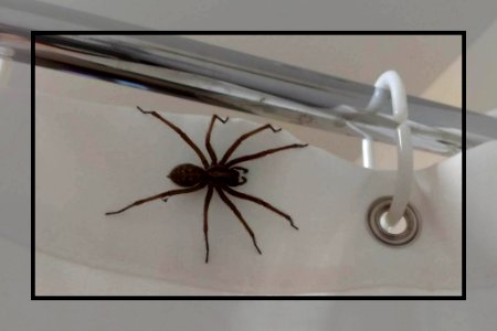 Save Water - Shower With A Friend!