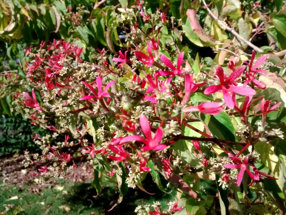 IMG 20151016 131132260