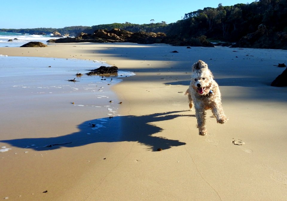 Maggie at Quarry Beach