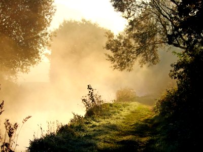 Misty Canal