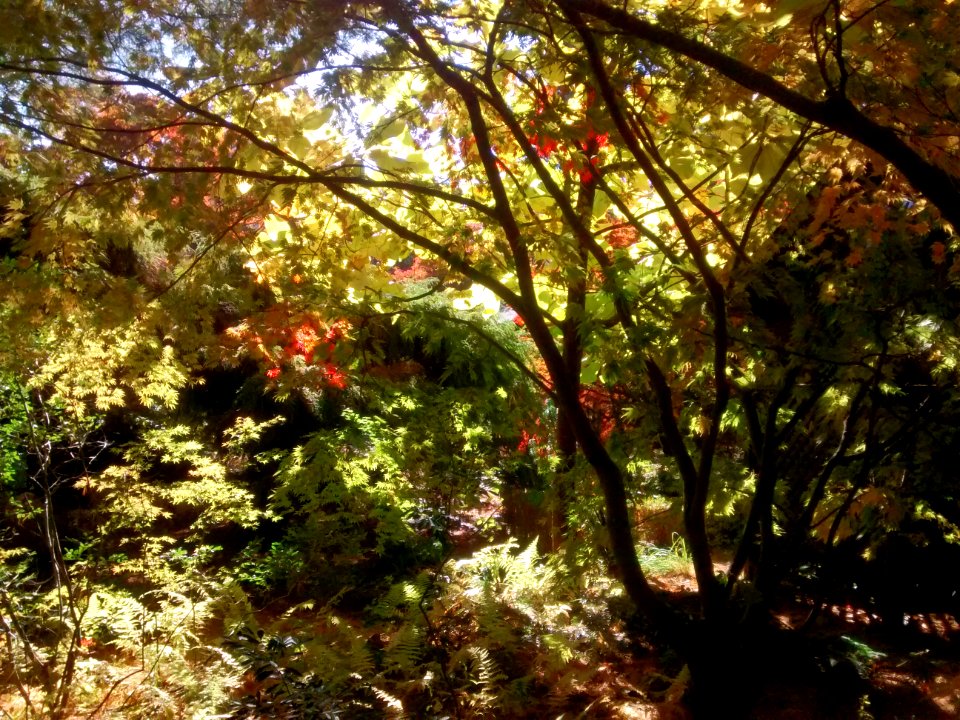 IMG 20151029 113308194