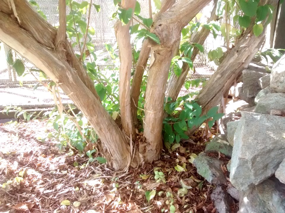 IMG 20151016 131604700