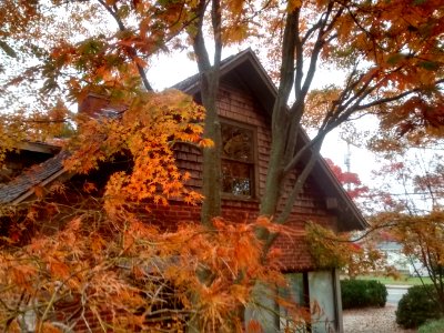 IMG 20151106 110530557 HDR