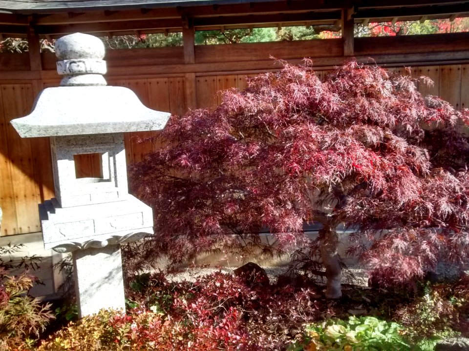 IMG 20151026 101050668 HDR