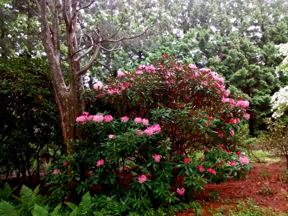 IMG 20150519 162000123