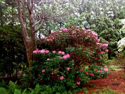 IMG 20150519 162000123