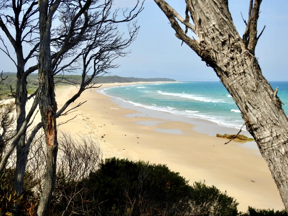 Betka Beach, Mallacoota