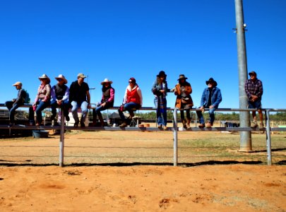 Boulia camel races