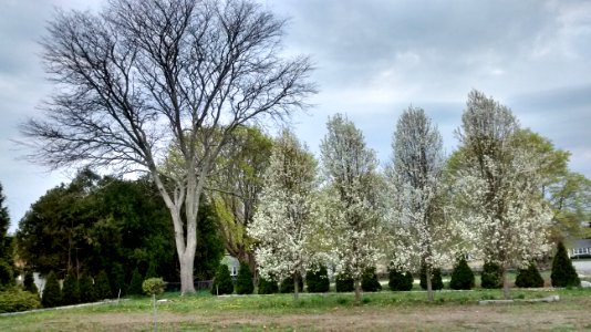 IMG 20150505 111032242 HDR