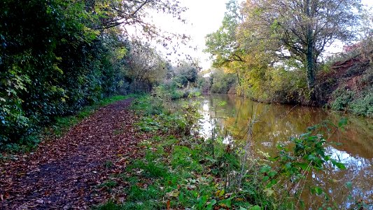 Autumn Towpath photo