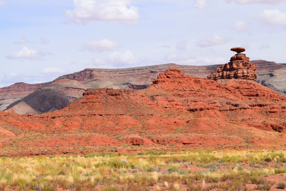 Native desert landscape