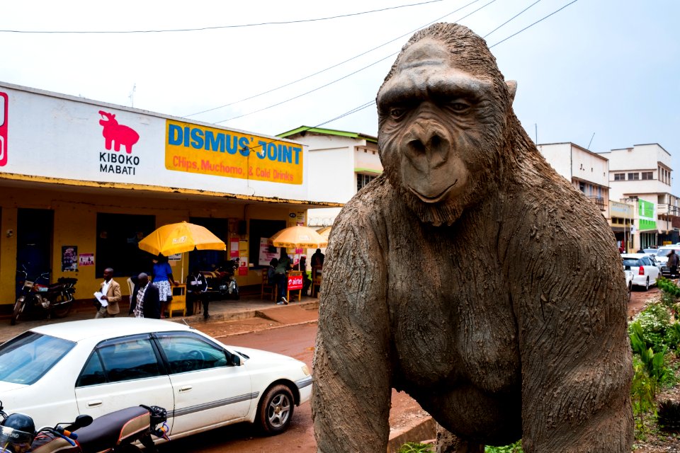 USAID Measuring Impact Conservation Enterprise Retrospective (Uganda; International Gorilla Conservation Program)