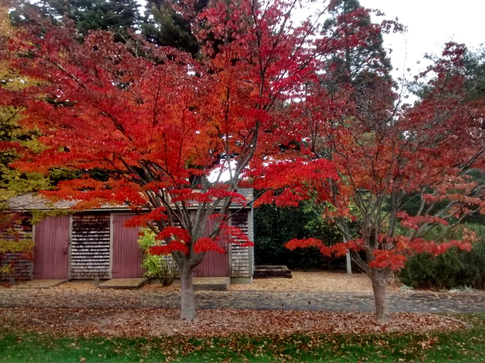 IMG 20151028 140717113 HDR