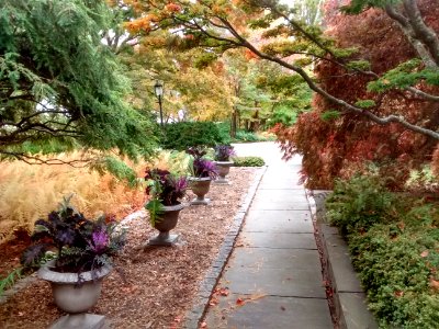 IMG 20151028 121840930 HDR