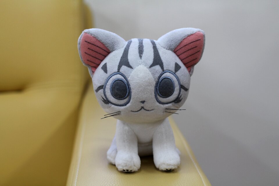 Cheese sweet home doll cat