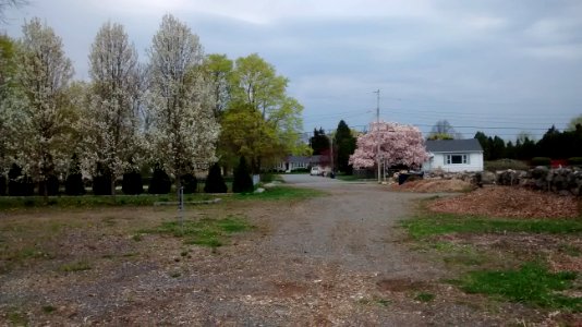 IMG 20150505 111042781