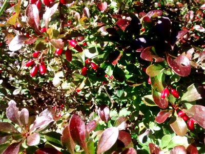 IMG 20151010 121849232