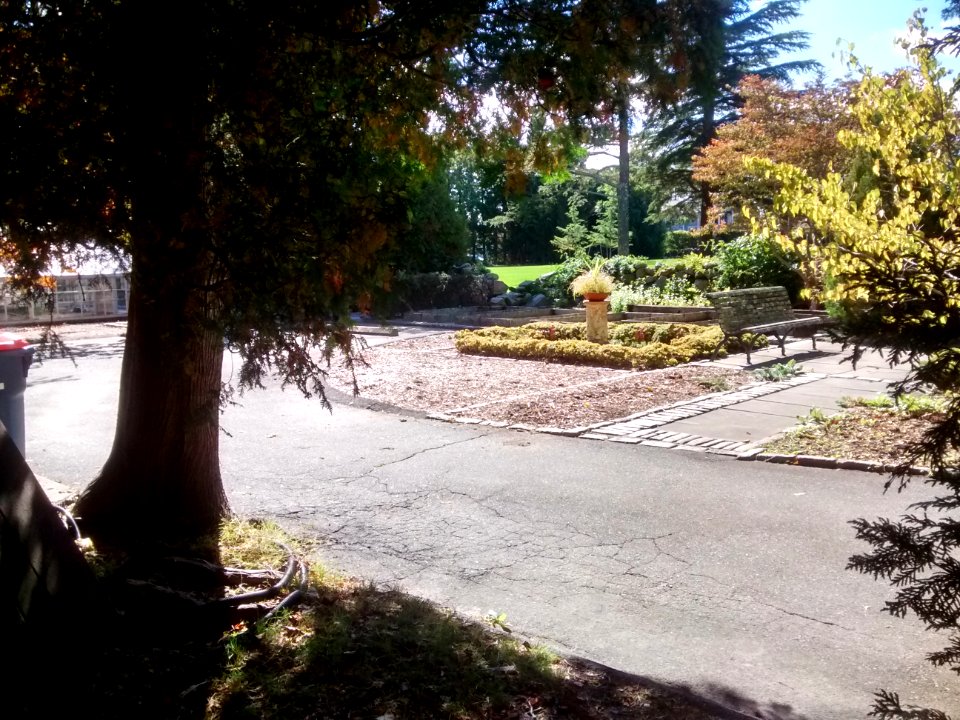 IMG 20151010 130809169 HDR
