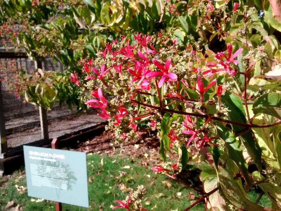 IMG 20151016 131141222