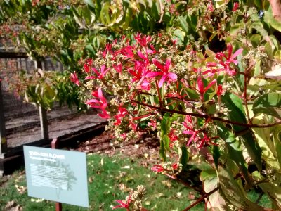 IMG 20151016 131141222