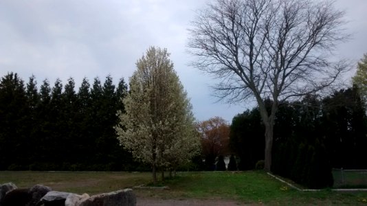 IMG 20150505 110757508