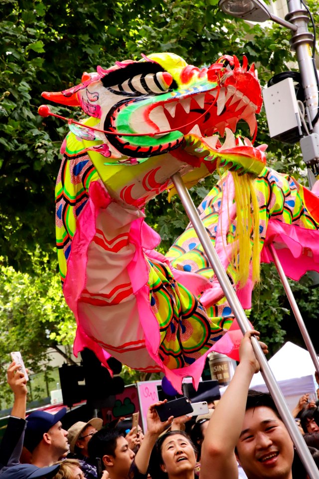 Chinese lunar new year