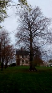 IMG 20150505 112640735