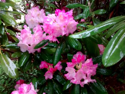 IMG 20150519 162156279