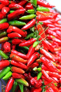 Spice pods chili peppers