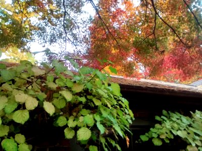 IMG 20151029 165807413 HDR