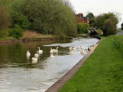 3) Approach Lineup