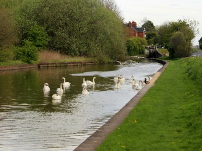 3) Approach Lineup photo