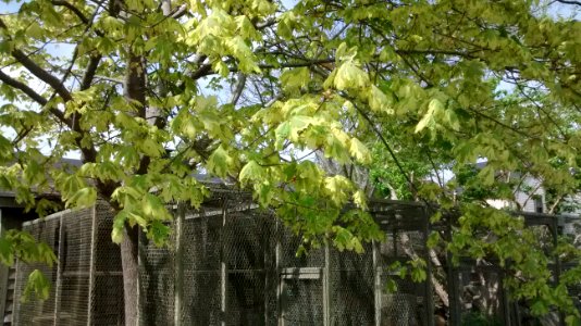 IMG 20150512 145658591