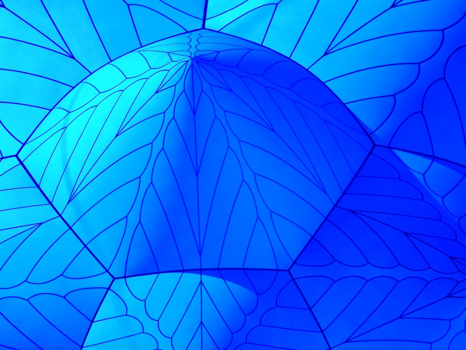 ACMI’s Arboria: Architects of Air